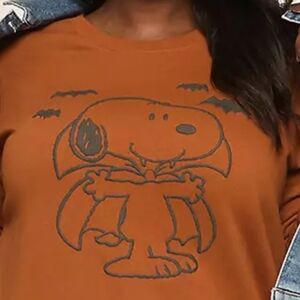 Lane Bryant 22/24 Snoopy Sweatshirt